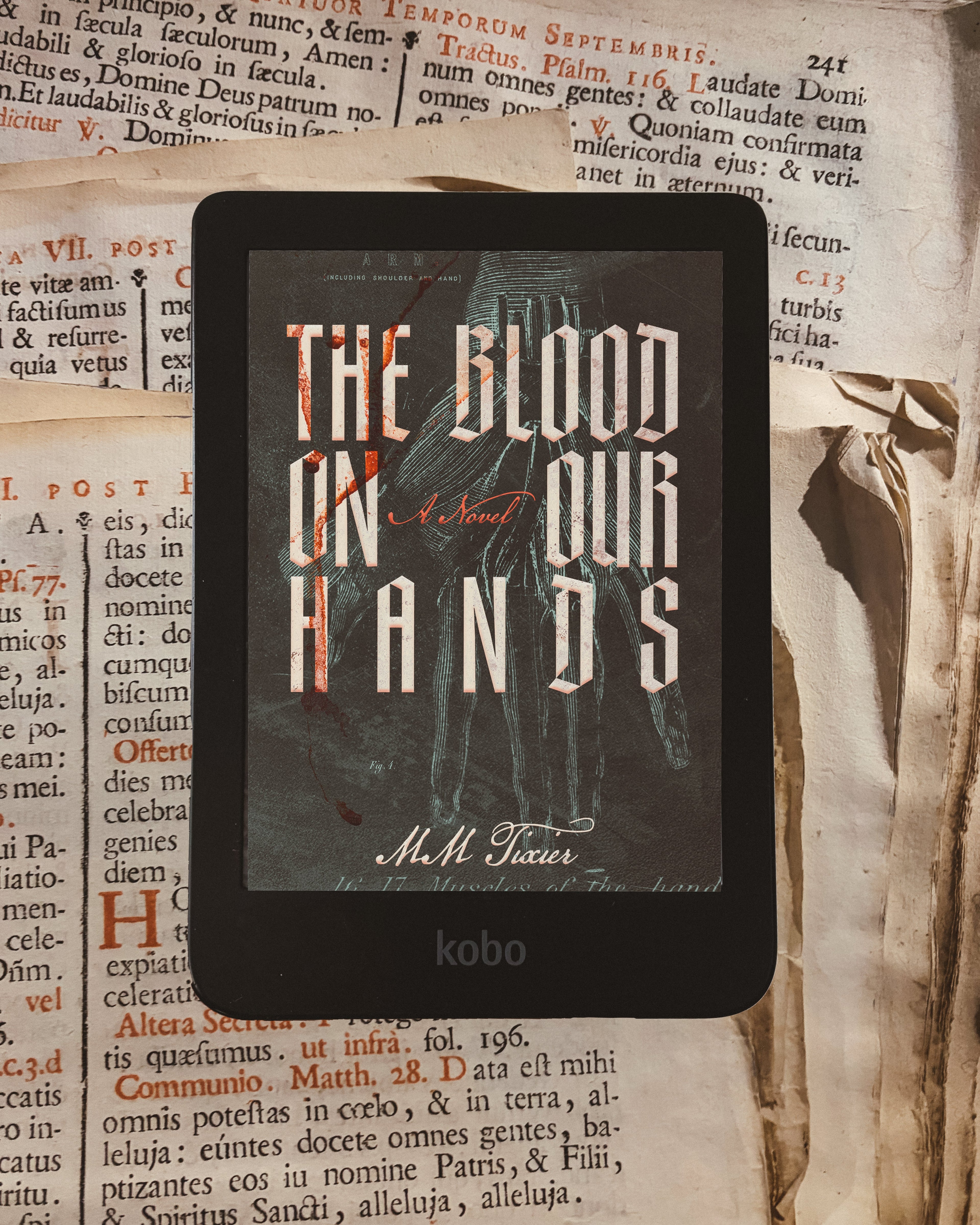 The Blood on Our Hands Paperback